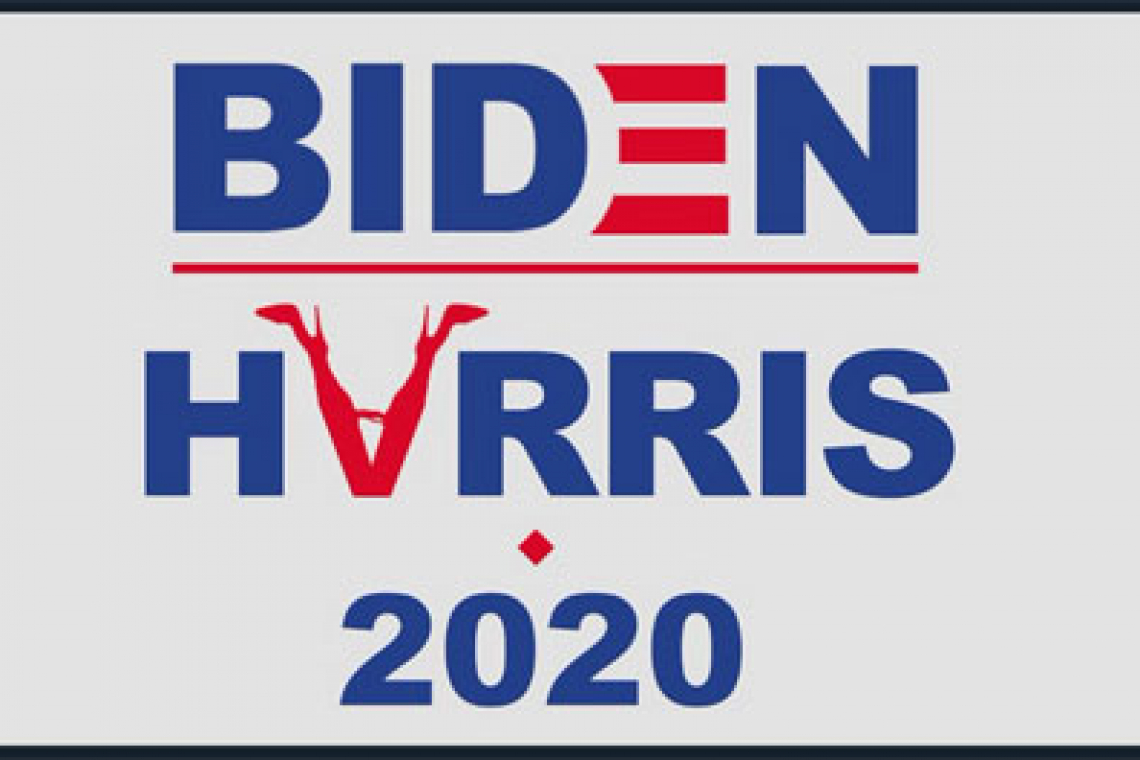 WOW! All The Riots, Looting . . . "ANTIFA.com" Redirects to Biden-Harris Donation Page!