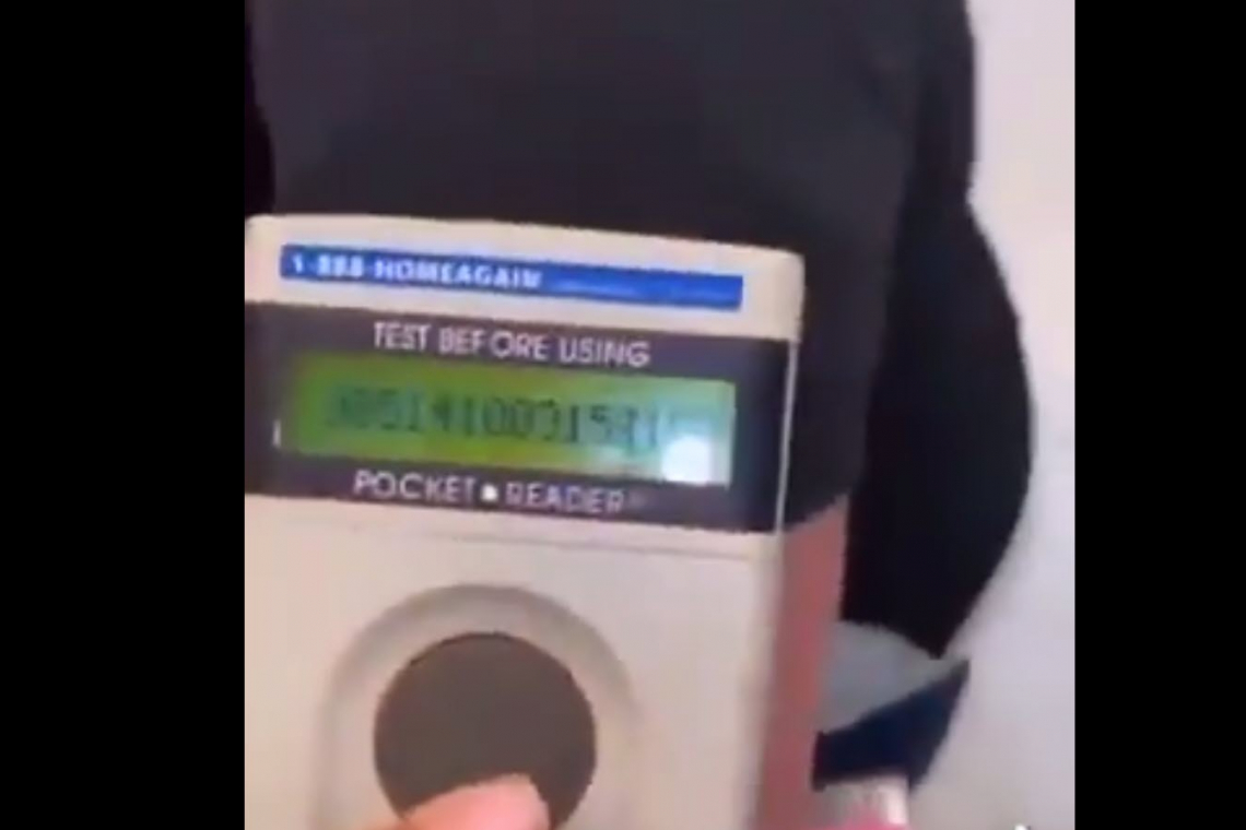 WEIRD Video: Nurse Shows Friend How Vax Spot Can Be Scanned with RFID Scanner