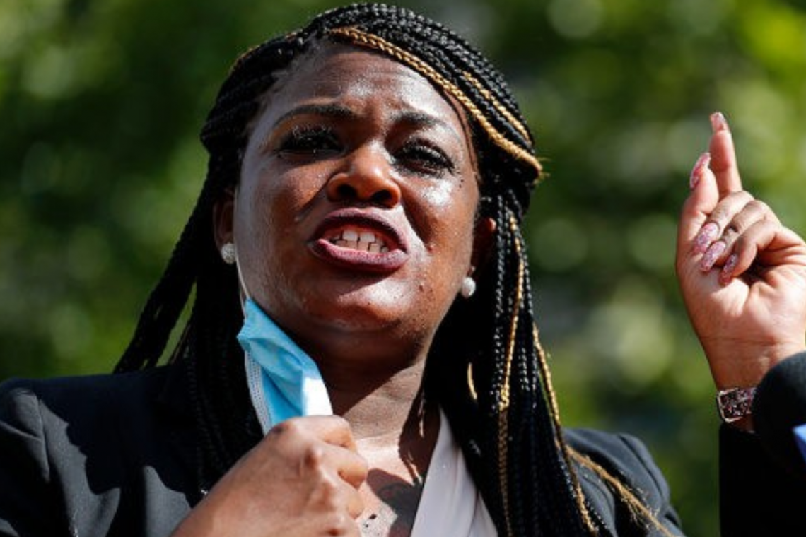 Congresswoman Says July 4 only celebrates freedom for White people