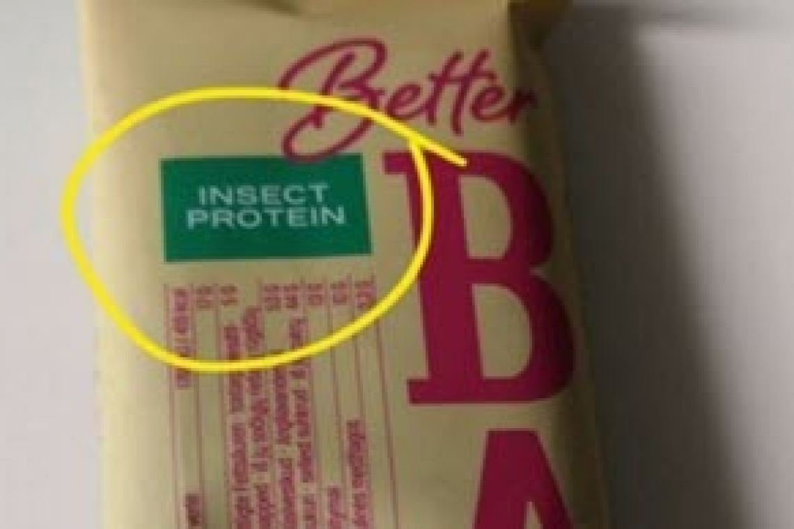 Latvia Selling "Insect Protein" Bars