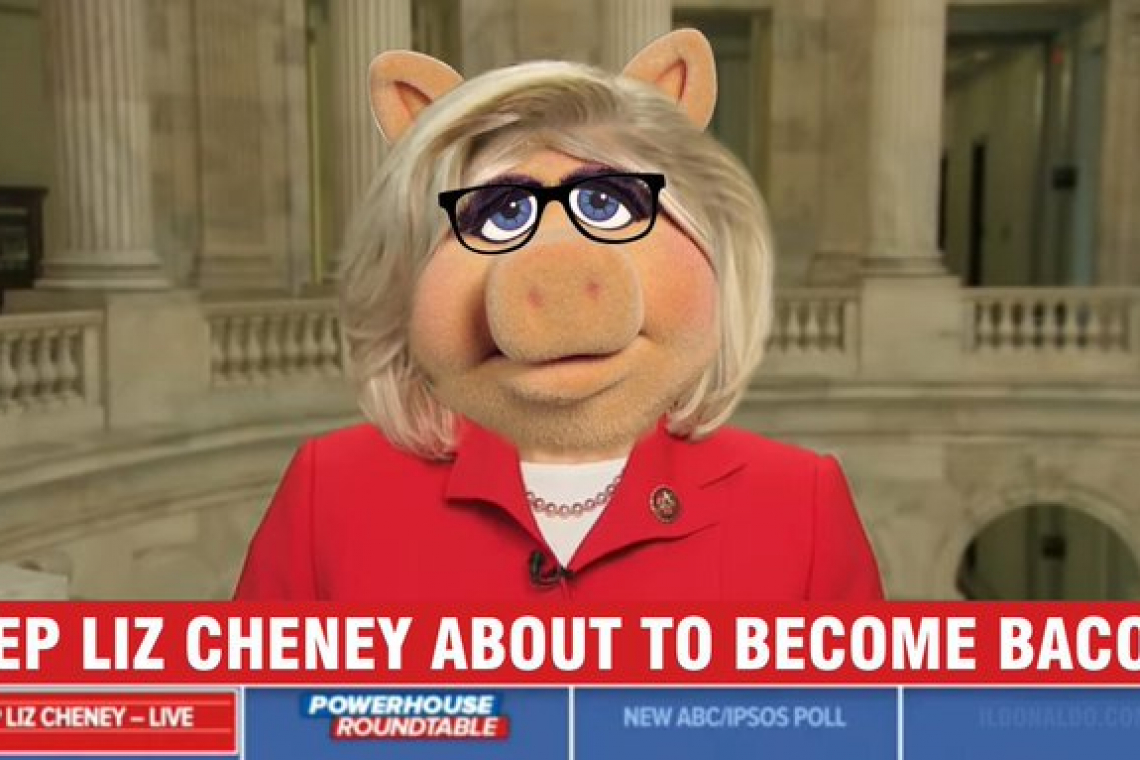 Bitter Liz Cheney Trashes Trump after Primary Loss