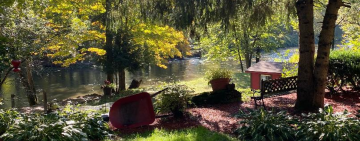 
Warning: Undefined variable $full_image_alt_txt in /var/www/html/templates/shaper_gazette/html/layouts/joomla/content/intro_image.php on line 70
