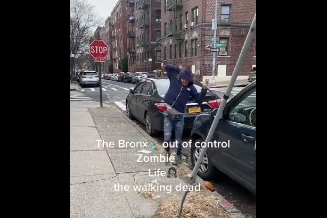 Video- Out of Control "Zombie" in the Bronx
