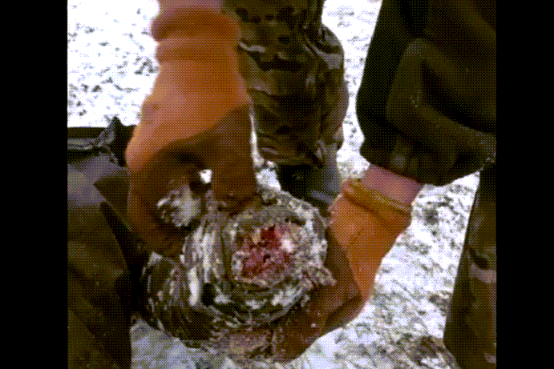 Active Duty NATO-Country Troops Found Beheaded and Hands Cut-off in Soledar Ukraine