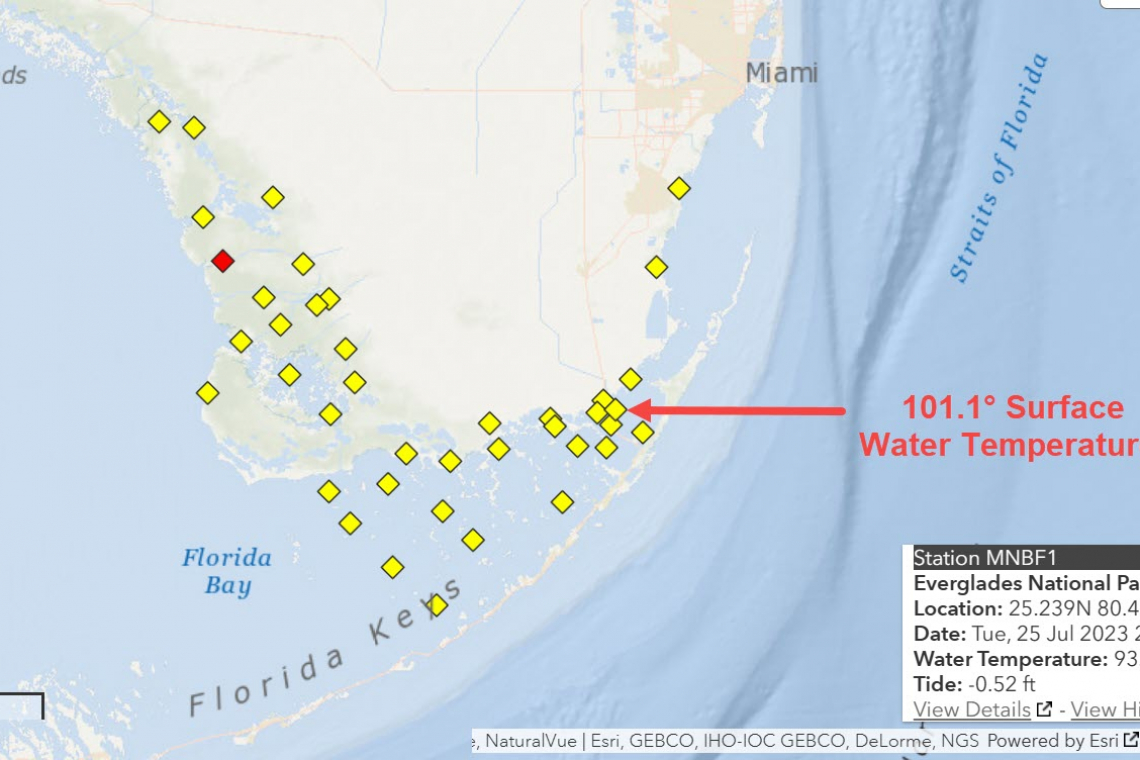 Florida Sea Surface Water Temp hits 101.1°F - Air was cooler!