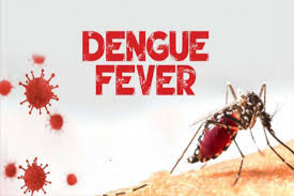 CDC Confirms &quot;Outbreak&quot; of Dengue Fever in U.S.