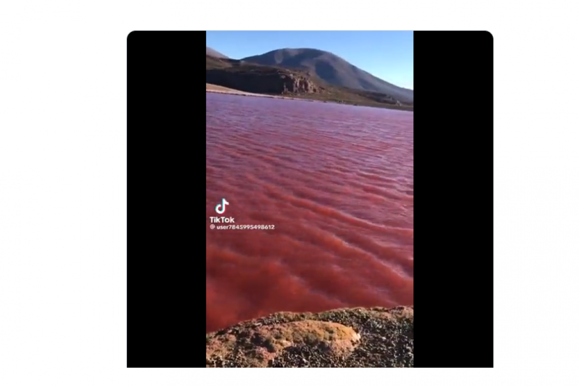 Reports: Nile River Begins Turning Blood Red