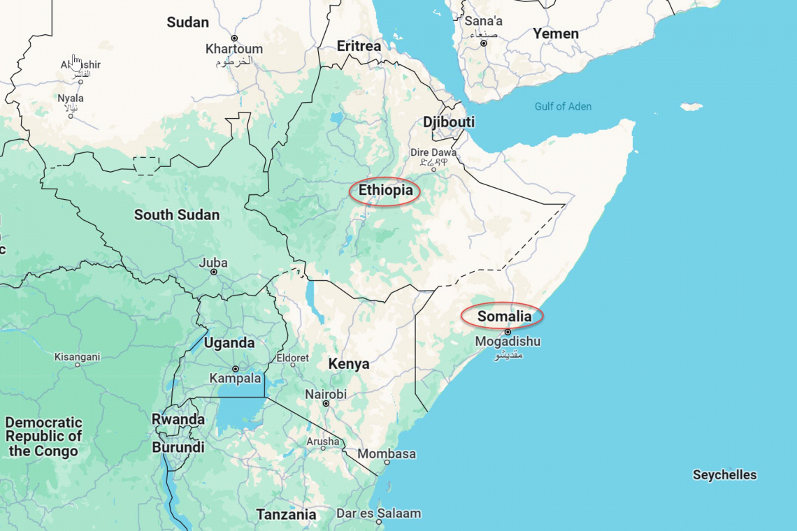 Yet ** ANOTHER **  War: Somalia v. Ethiopia