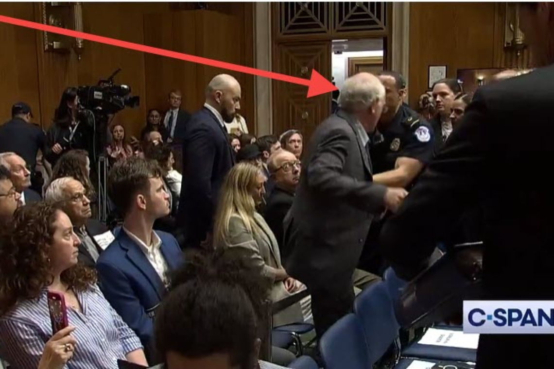 US Capital Police Forcibly Remove Co-Founder of Ben and Jerry's Ice Cream