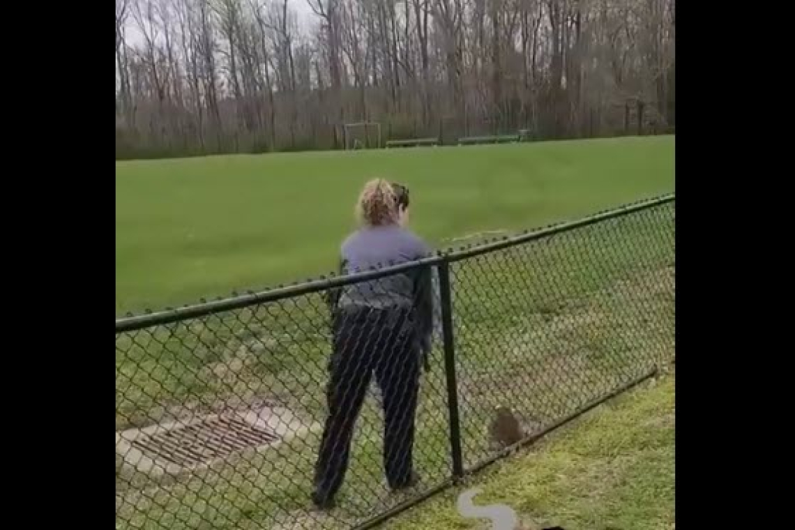 VIDEO: 8 Shots at Point-Blank Range to Kill one Rabid Raccoon!