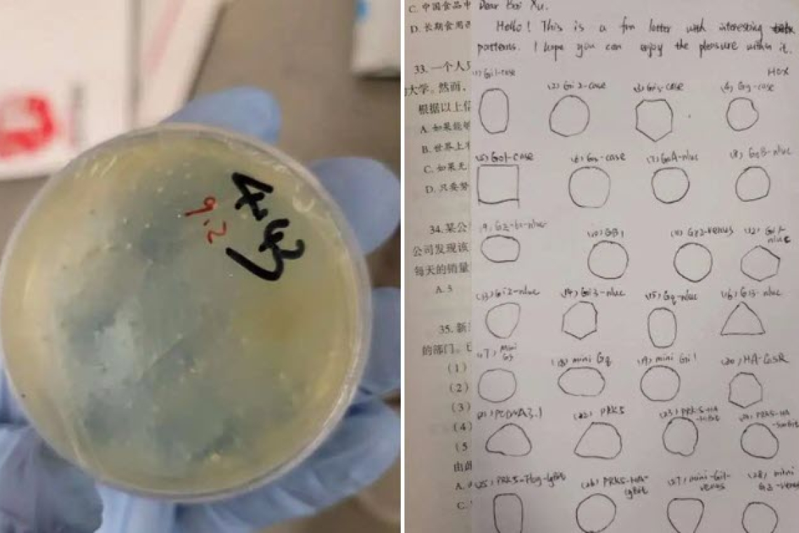 WUHAN SCIENTIST BUSTED AT DETROIT AIRPORT WITH BIOLOGICAL MATERIAL