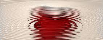 
Warning: Undefined variable $full_image_alt_txt in /var/www/html/templates/shaper_gazette/html/layouts/joomla/content/intro_image.php on line 70
