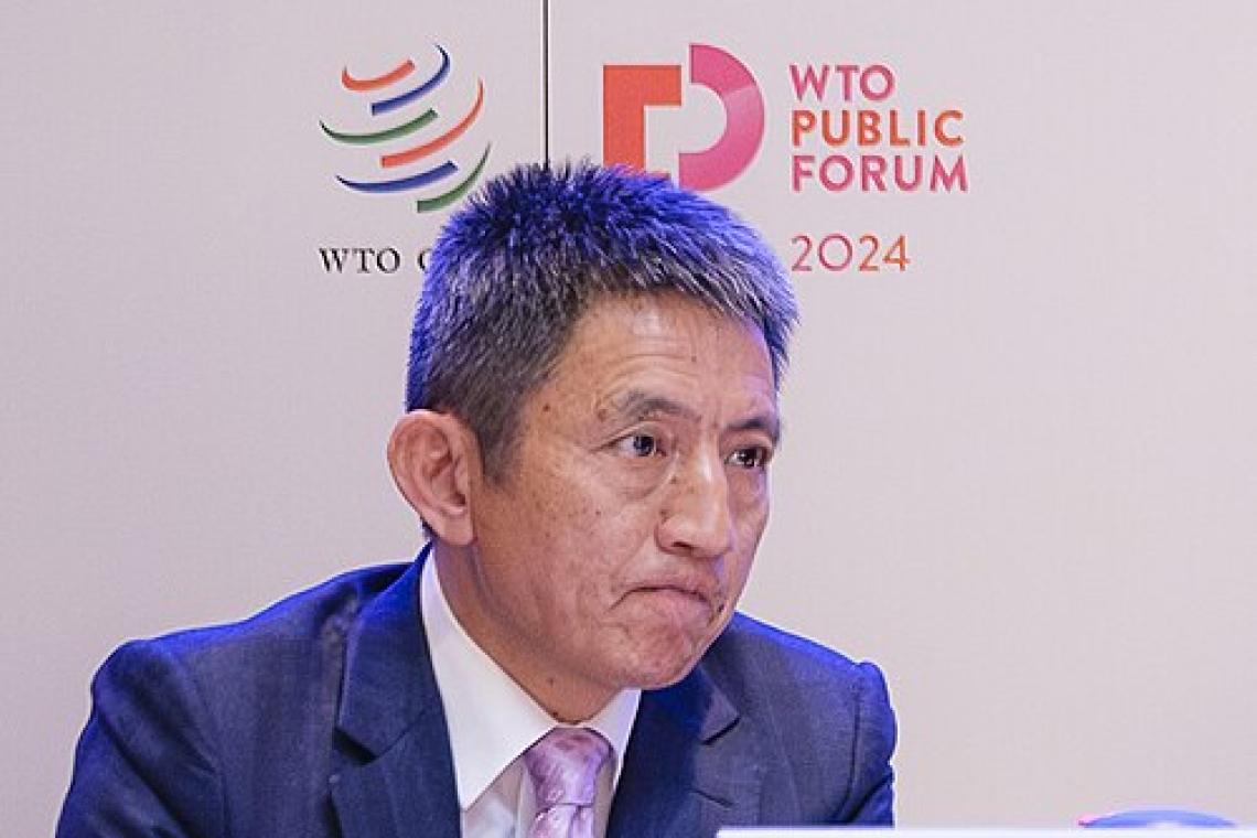  China's top trade negotiator removed from WTO post