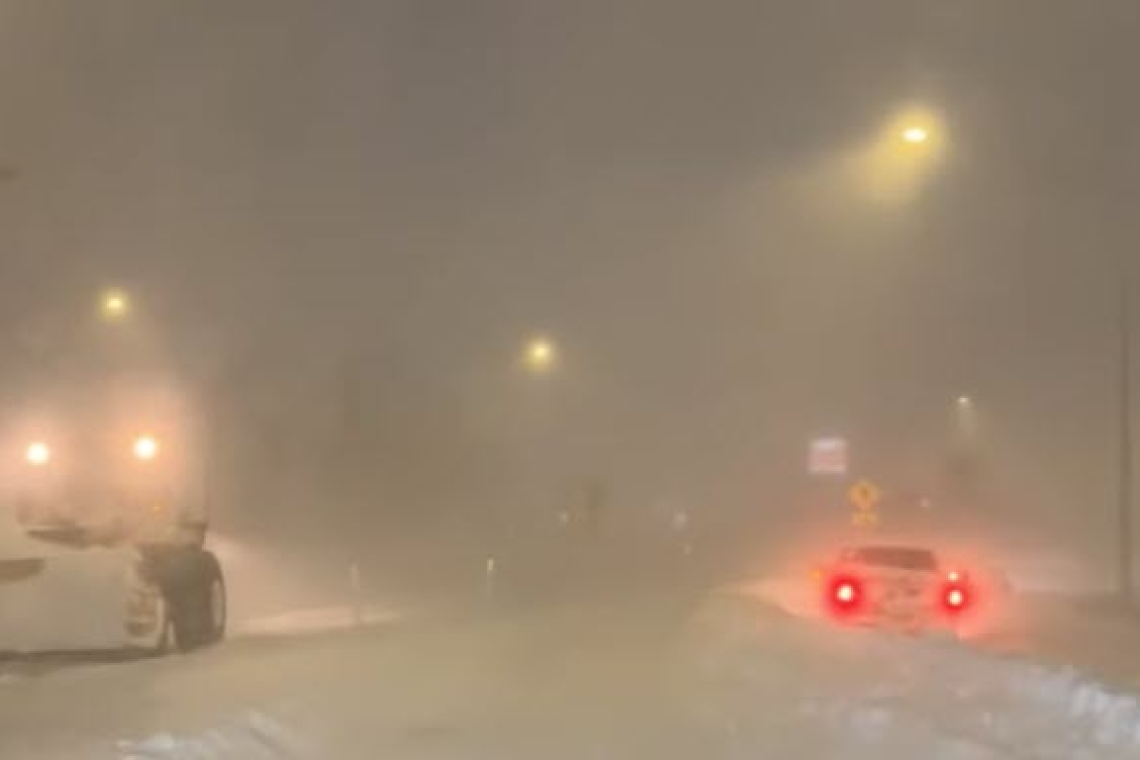 BLIZZARD HITS MICHIGAN - 85,000 WITHOUT ELECTRIC SO FAR